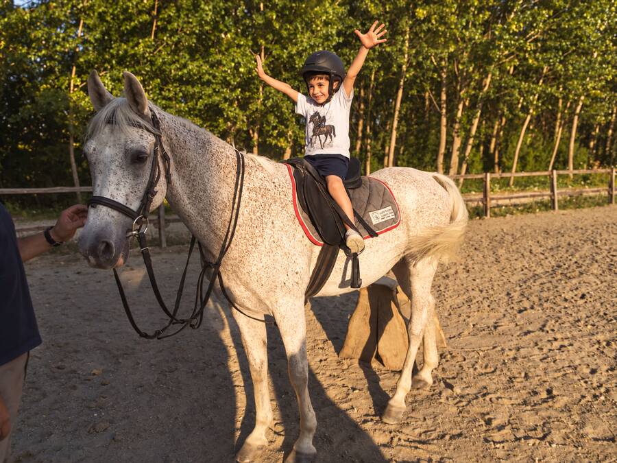 İksir Resort Town Daday binicilik tesisi ve atlar 5