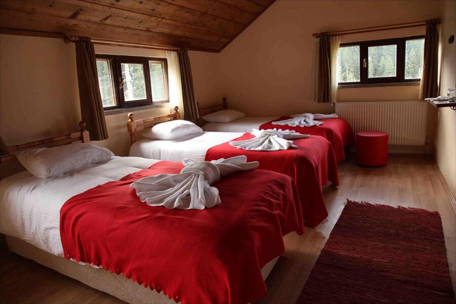 İksir Resort Town Daday oda ve konak iç görünümü 8