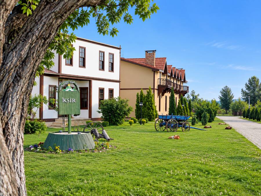 İksir Resort Town Daday yerleşkesi, konaklar ve bahçe 3