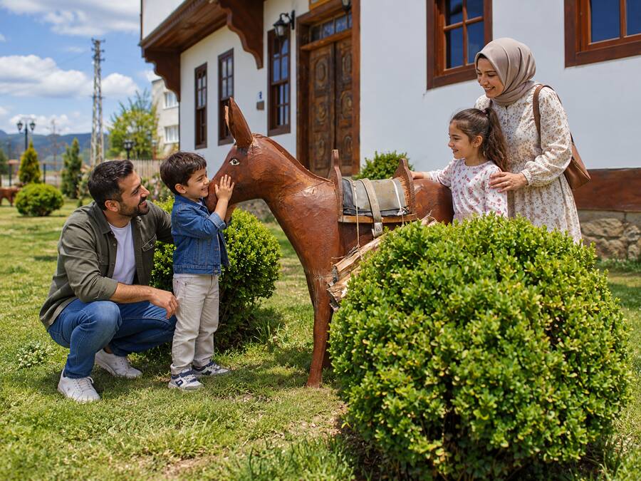 İksir Resort Town Daday yerleşkesi, konaklar ve bahçe 8