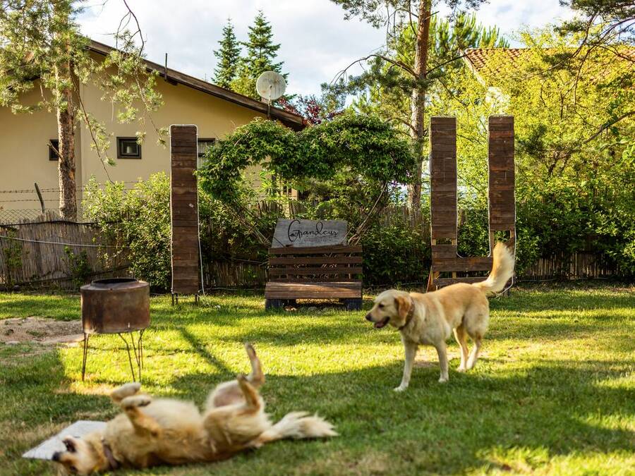 Grandeur Sapanca shared grounds &mdash; garden, pool and seating areas 4