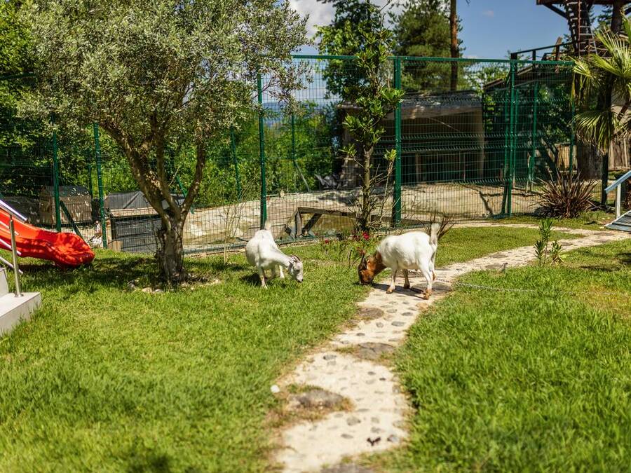 Grandeur Sapanca shared grounds &mdash; garden, pool and seating areas 22