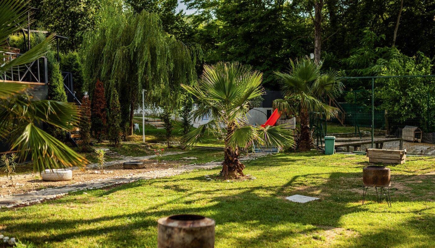 Grandeur Sapanca — palmiyeli bahçe ve yeşil alan